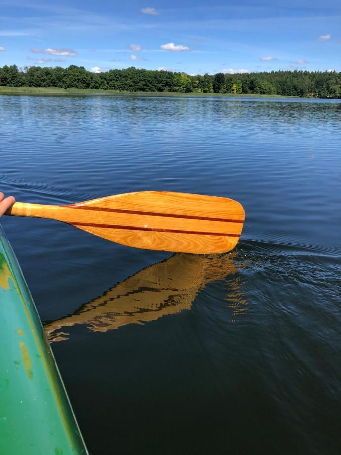 5 Sterne-Ferienhaus Eisvogel Am See Mit Sauna Und Kamin Krakow am See Ngoại thất bức ảnh